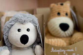 Large choix de peluches